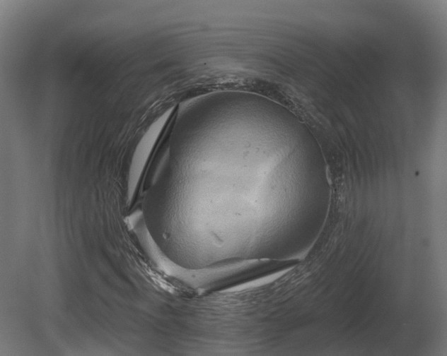 X0000081420916200701121231
