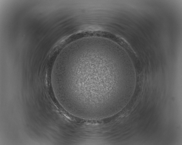 X0000081420919200701121231