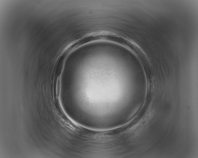 X0000081420921200701121231