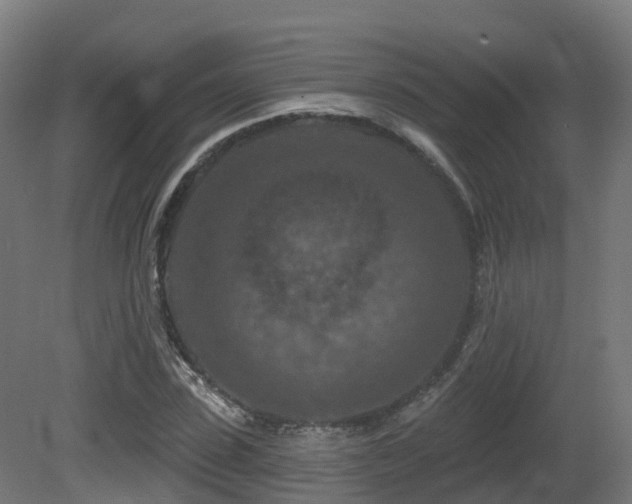 X0000081420923200701121231