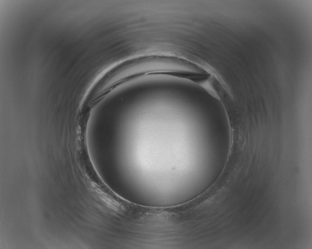 X0000081420926200701121231