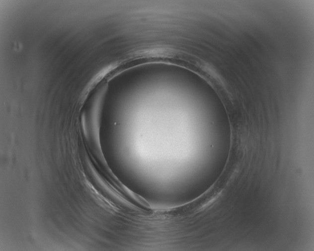 X0000081420930200701121231