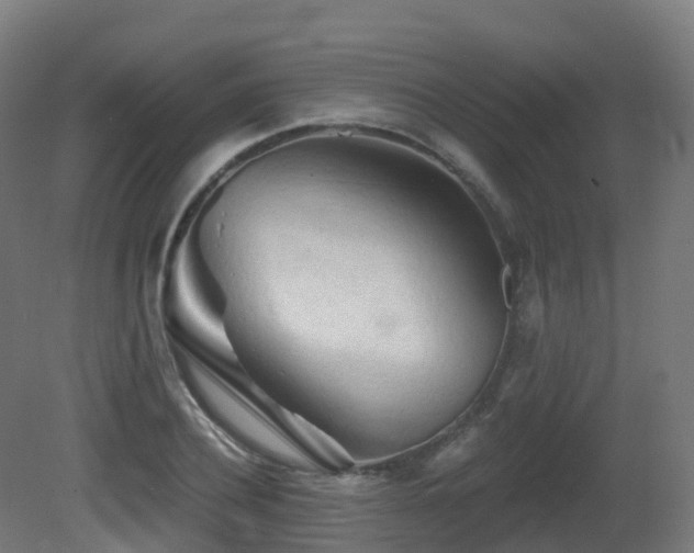 X0000081420932200701121231