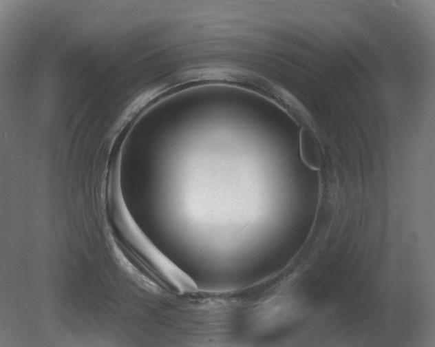 X0000081420938200701121232