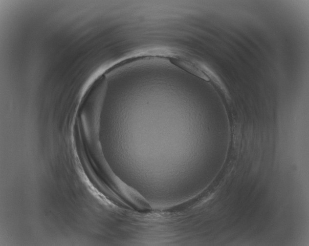 X0000081420944200701121232