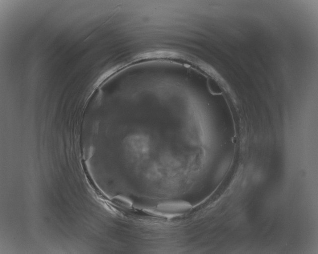 X0000081420945200701121232