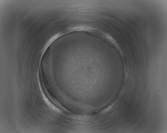 X0000081420946200701121232