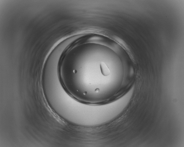 X0000081420948200701121232