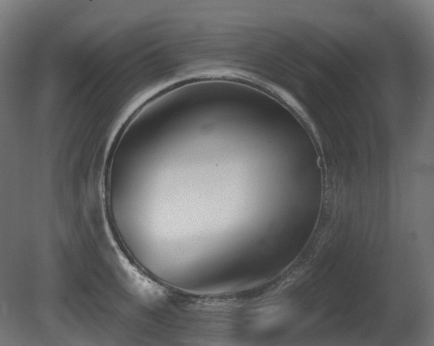 X0000081420951200701121232