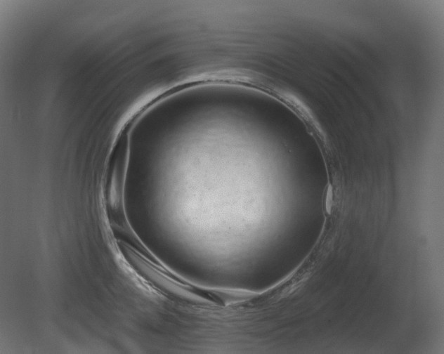 X0000081420952200701121232