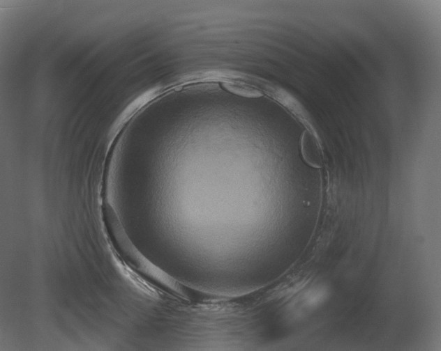 X0000081420954200701121232
