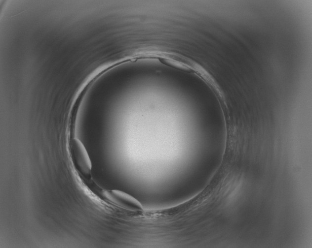 X0000081420955200701121232
