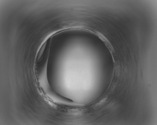X0000081420956200701121232