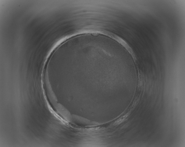 X0000081420958200701121232