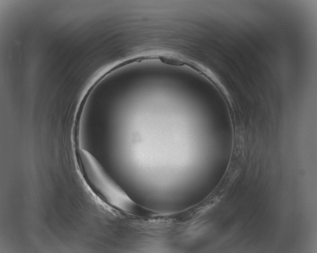 X0000081420959200701121232