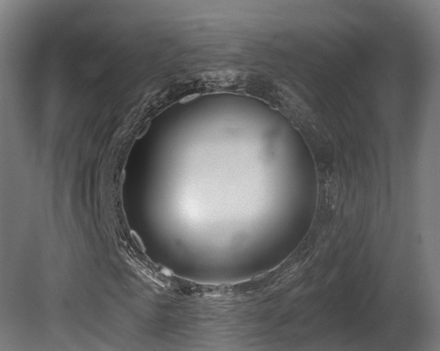 X0000081420961200701121231