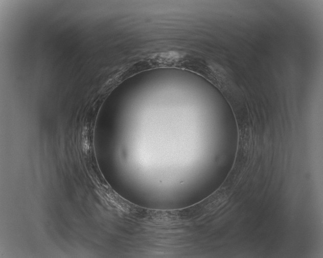 X0000081420962200701121231