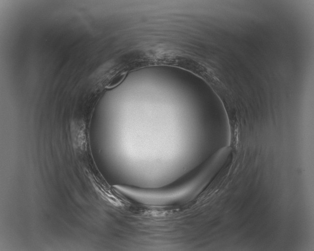 X0000081420963200701121231