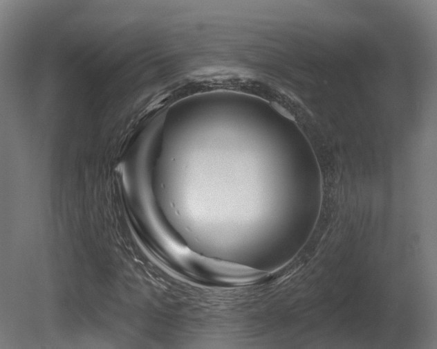 X0000081420965200701121231
