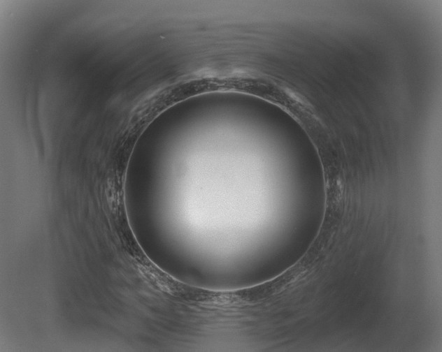 X0000081420966200701121231