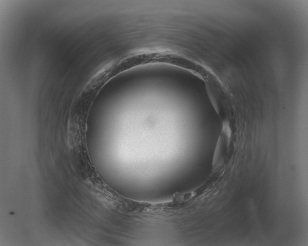 X0000081420967200701121231