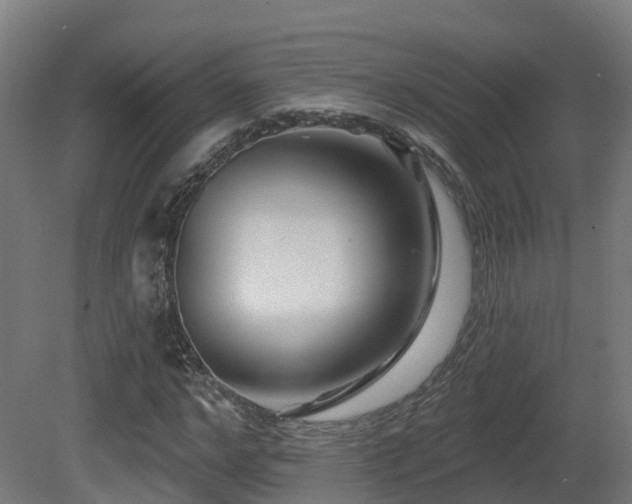X0000081420968200701121231