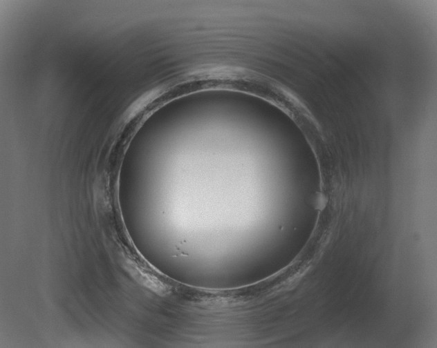 X0000081420970200701121231