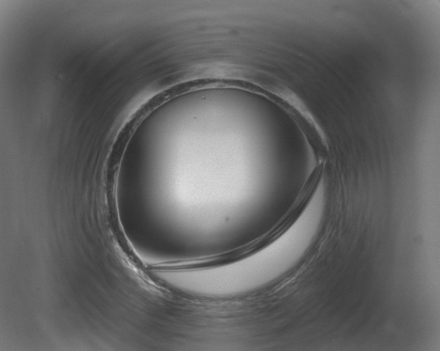 X0000081420972200701121231