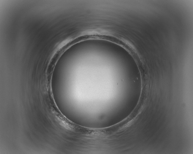 X0000081420974200701121231