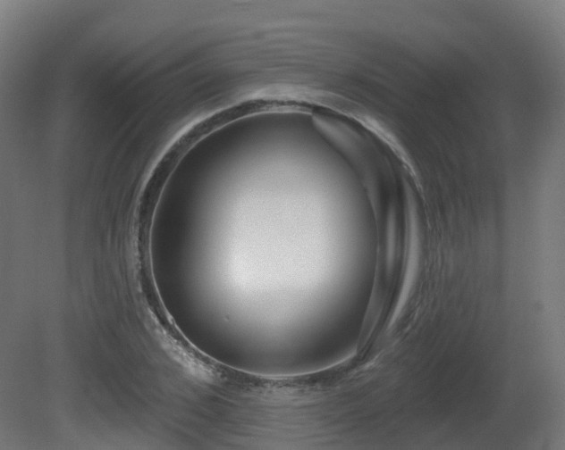 X0000081420976200701121231