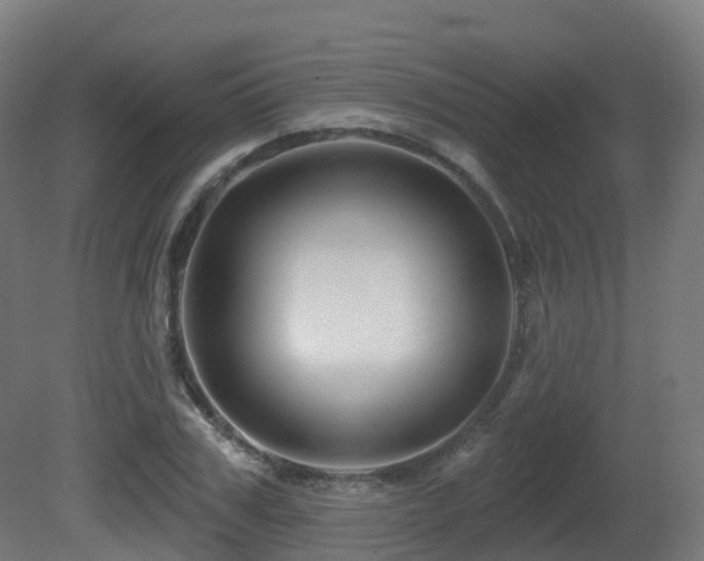 X0000081420979200701121231