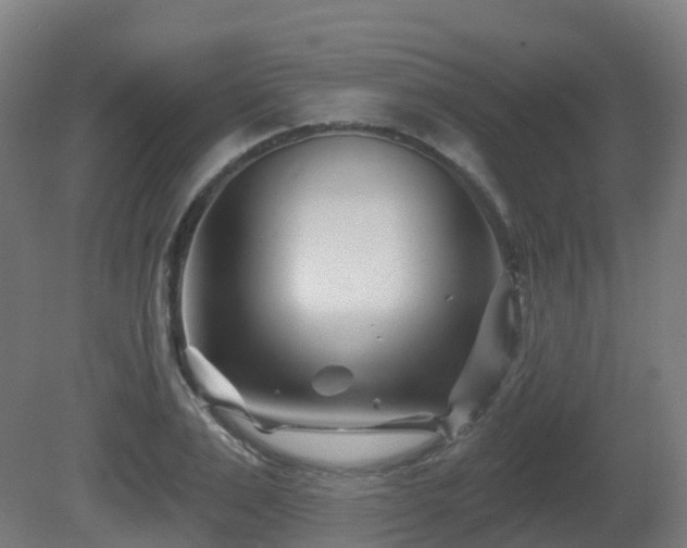 X0000081420983200701121231