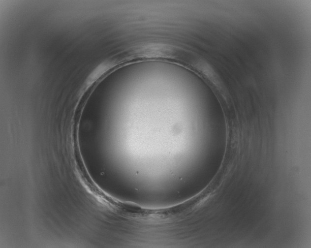 X0000081420986200701121231