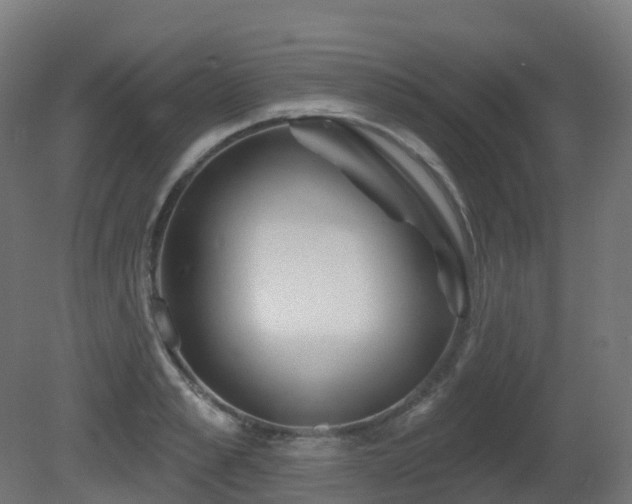 X0000081420989200701121231