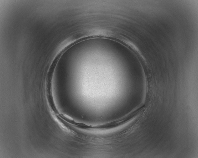 X0000081420991200701121231