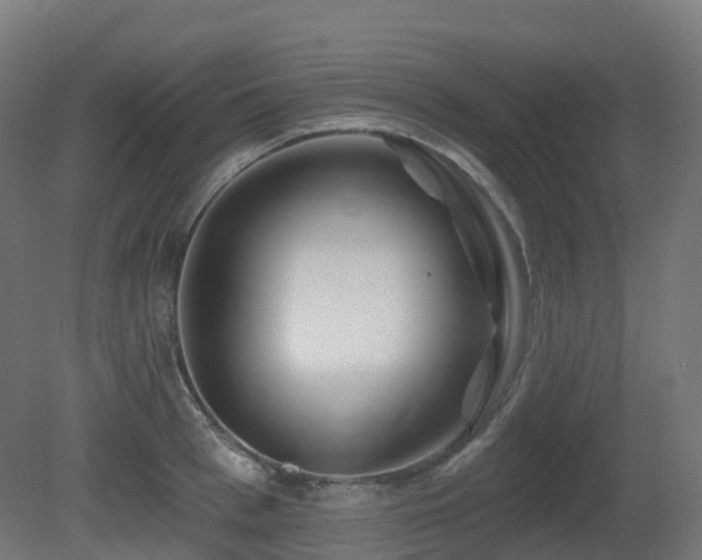 X0000081420993200701121230
