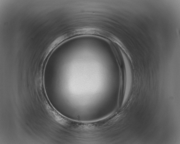 X0000081420994200701121230