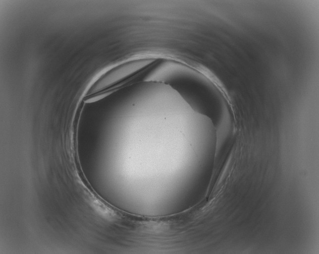 X0000081420996200701121230