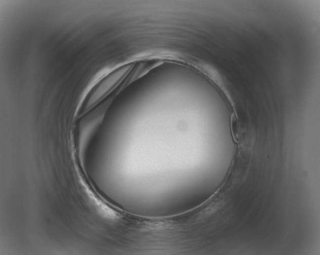 X0000081420997200701121230