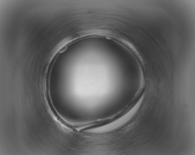 X0000081420999200701121230