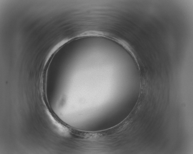 X0000081421003200701121230