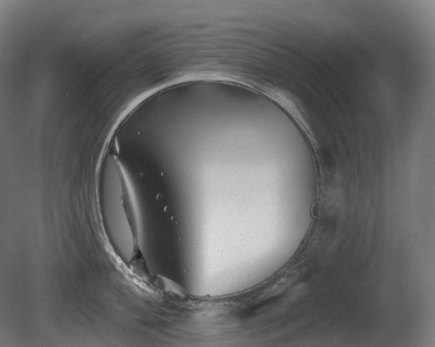 X0000081421004200701121230