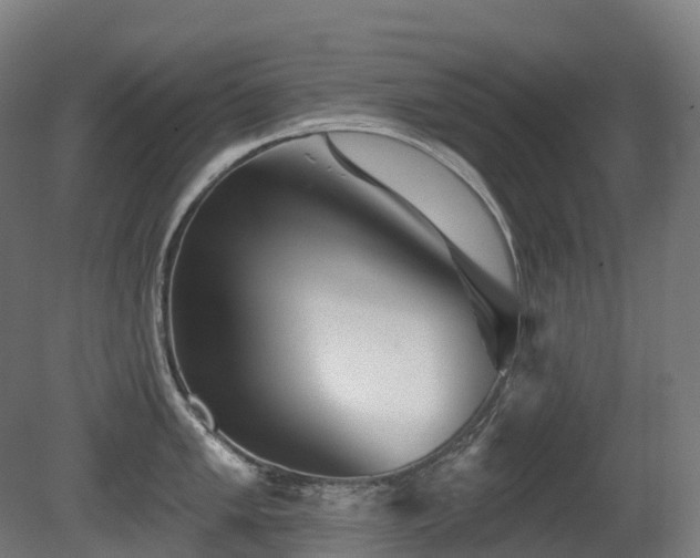 X0000081421005200701121230