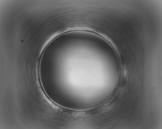 X0000081421006200701121230