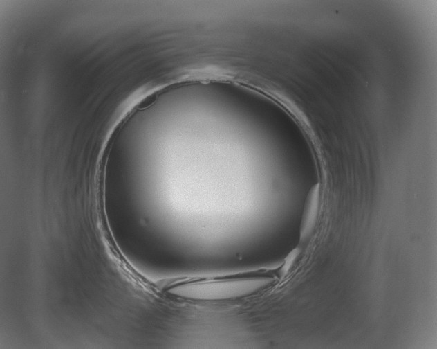 X0000081421008200701121230