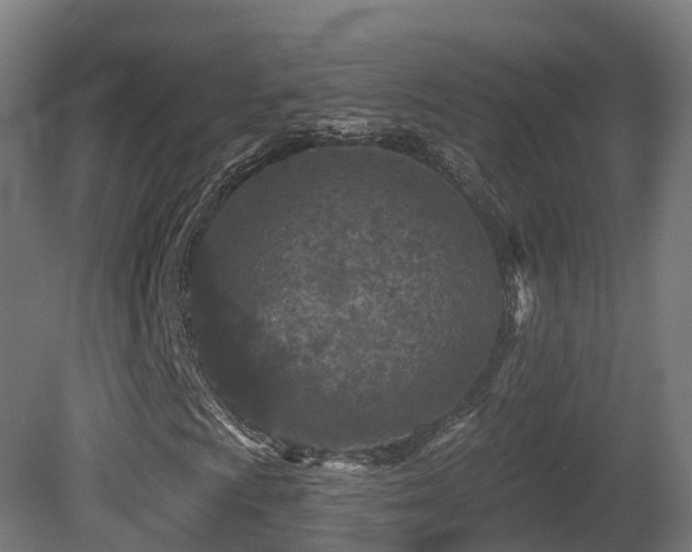 X0000081421009200701121229