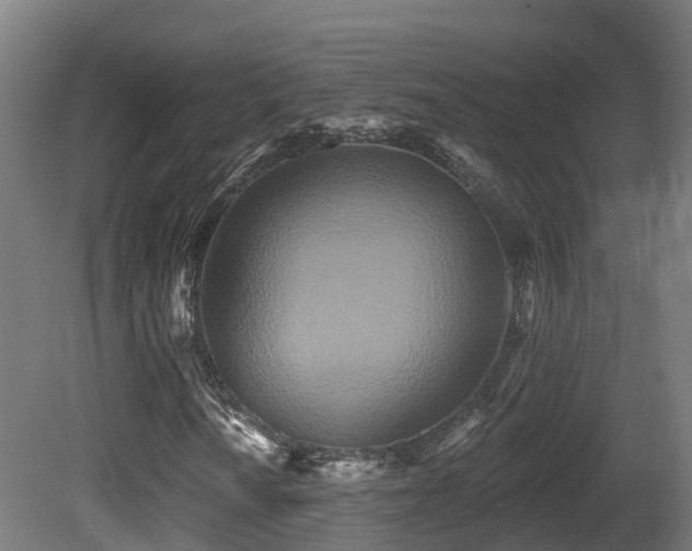 X0000081421010200701121229