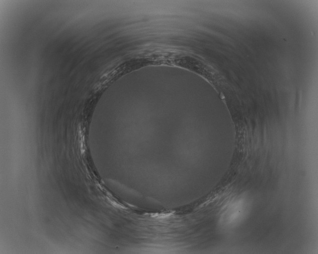 X0000081421013200701121229