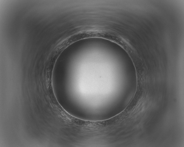 X0000081421015200701121229