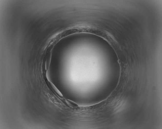 X0000081421016200701121230